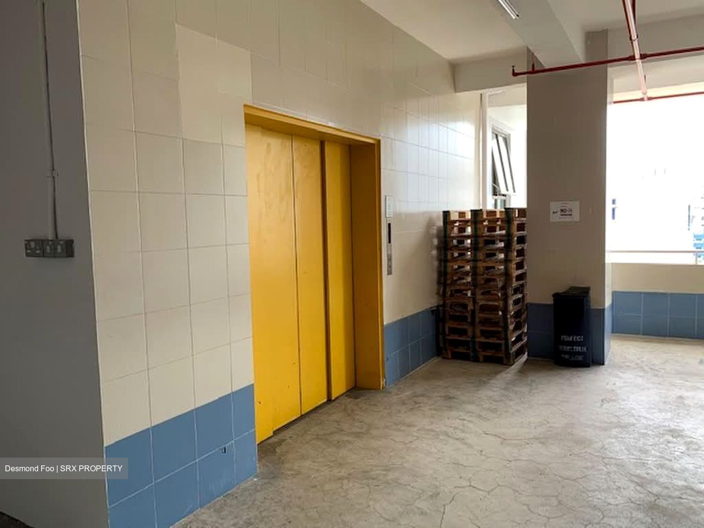 Perfect One (D13), Factory #588636501